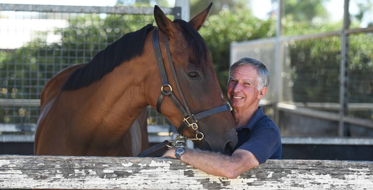 STRONG HAND: Trainer Ron Stubbs will target today's Wagga meeting with three genuine hopes including Balendon who is set to tackle a mile for the first time.