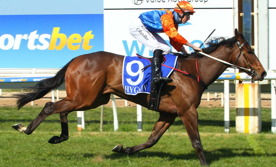 SMART WIN: Smart Design scored a dominant 4.5-length win at his most recent start with Campbell Rawiller aboard. Picture: RACING PHOTOS