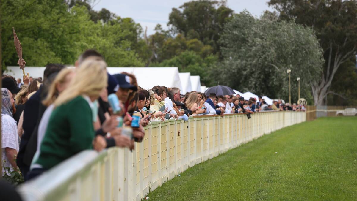 The cup day crowd along the home straight. Picture: JAMES WILTSHIRE