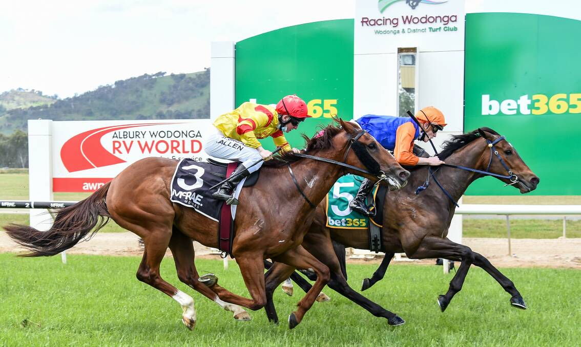MAIDEN NO MORE: The team Ledger-trained Yes Sir broke through for his first career win at Wodonga yesterday with Ben Allen aboard. Picture: RACING PHOTOS