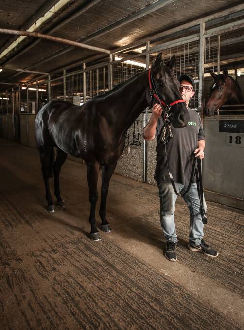 BIG DAY OUT: Trainer Mitch Beer hasn't got a runner in the Albury Cup but will target the supporting races with a big team of nine gallopers. Picture: JAMES WILTSHIRE