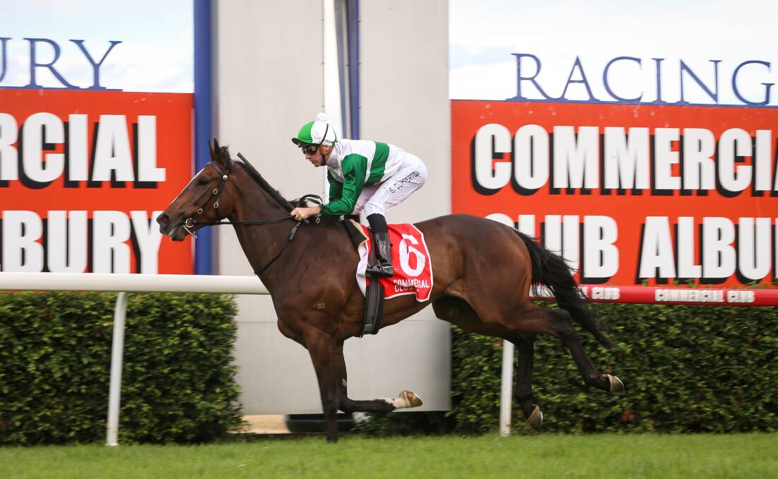 Co-trainers Gai Waterhouse and Adrian Bott already have their name on the Albury Gold Cup honour role after the victory of Entente in 2021 with Sam Clipperton aboard.