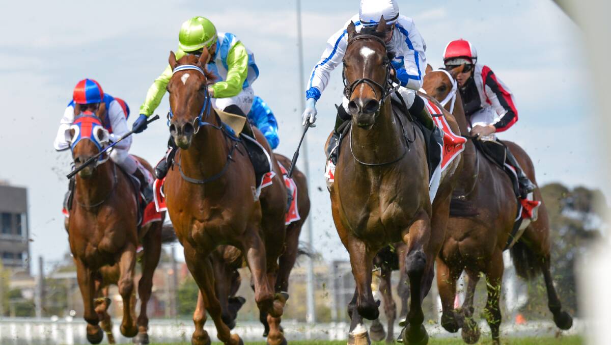 Front Page (lime green hat) has been scratched for the Kosciuszko. Picture: RACING PHOTOS