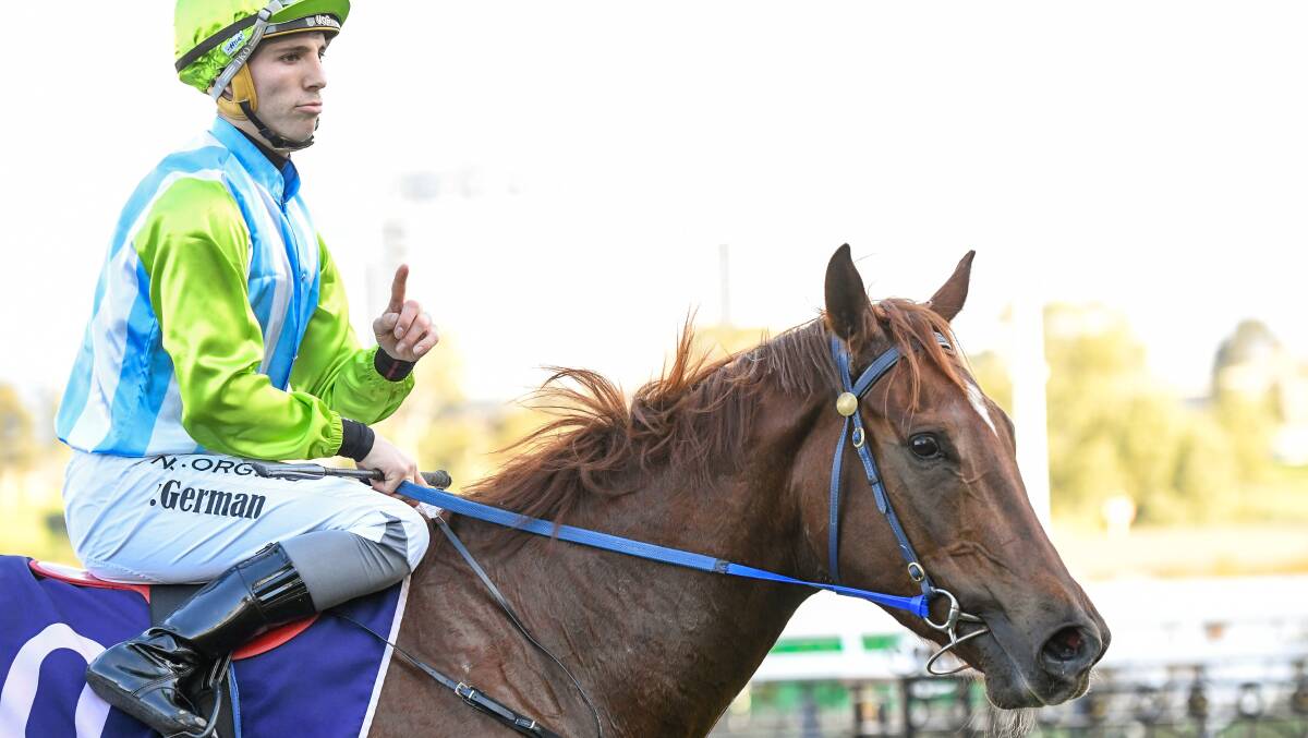 MOMENT OF TRUTH: Trainer Geoff Duryea is hoping Front Page can rediscover his best form at Moonee Valley tomorrow night. PIcture: RACING PHOTOS