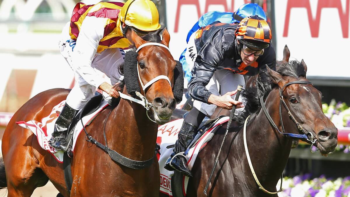 ALBURY BOUND: Jockey James Winks (right) is set to target his first Albury Gold Cup success aboard the Anthony Freedman-trained Ambitious.