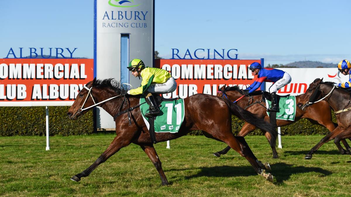 BIG FINISH: Sunrise Ruby was able to swamp her rivals out wide on the track with Josh Richards aboard. Picture: MARK JESSER