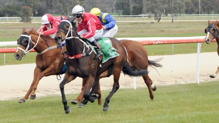 The Andrew Dale Ali's Choice winning the $10,000 Maiden Hcp, (1300m) with jockey Brad Vale aboard.