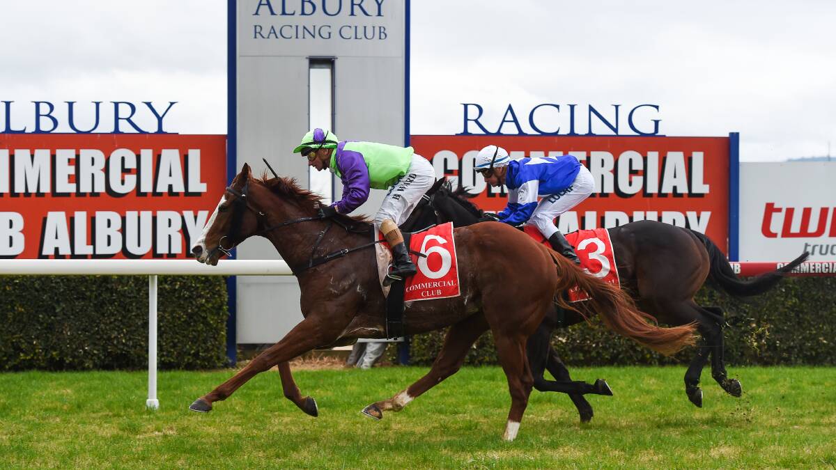 WELL BACKED: The heavily supported Treasure Boss arrives with a well timed run to take out the $22,000 Open Handicap, (1175m) at Albury with Brendan Ward aboard. Picture: MARK JESSER