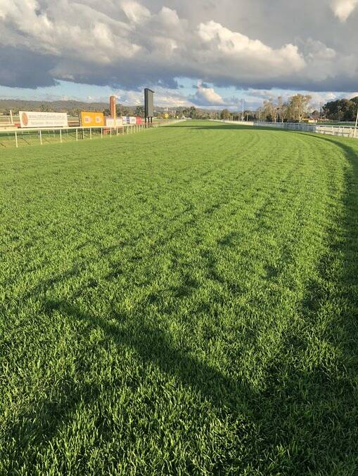 PICTURE PERFECT: MTC track manager Mark Hart believes the track is in the best shape ever ahead of the two day carnival set to commence on Thursday.