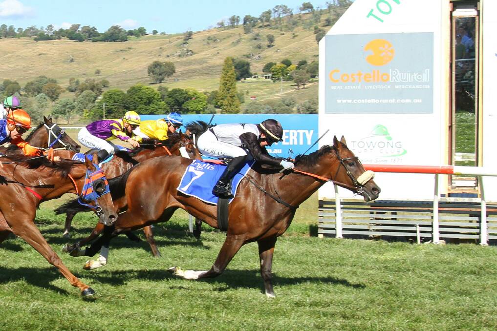 TOO STRONG: Mischinka and Hannah Le Blanc combined to win the Towong Cup for Wangaratta trainer Ben Brisbourne. Picture: RACING PHOTOS