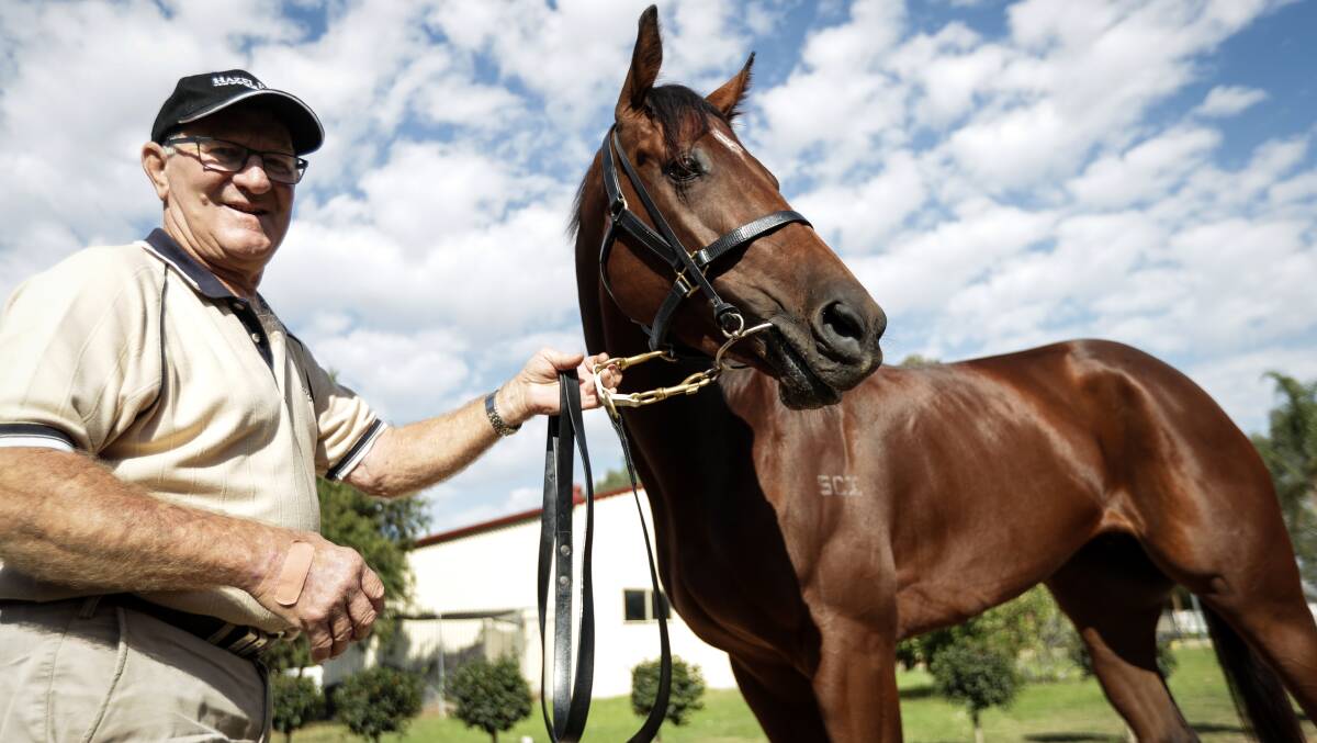 LEADING FANCY: Graham Hulm with Bennelong Dancer. Bennelong Dancer ran second in the Country Championship Qualifier at Wagga last year. The five-year-old will be looking to go one better on her home track on Saturday.