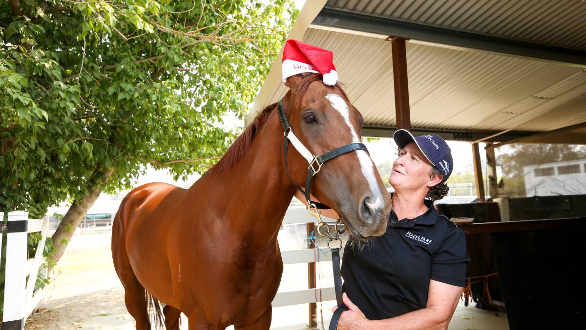 Trainer Donna Scott with Hazel's Diary who is racing at Albury today.