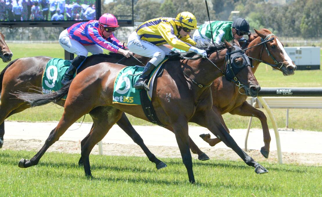 The David O'Prey-trained Jordy Girl (inside) finished runner-up in the opening race on Wodonga Gold Cup last year. Picture by Racing Photos