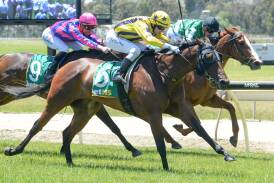 The David O'Prey-trained Jordy Girl (inside) finished runner-up in the opening race on Wodonga Gold Cup last year. Picture by Racing Photos