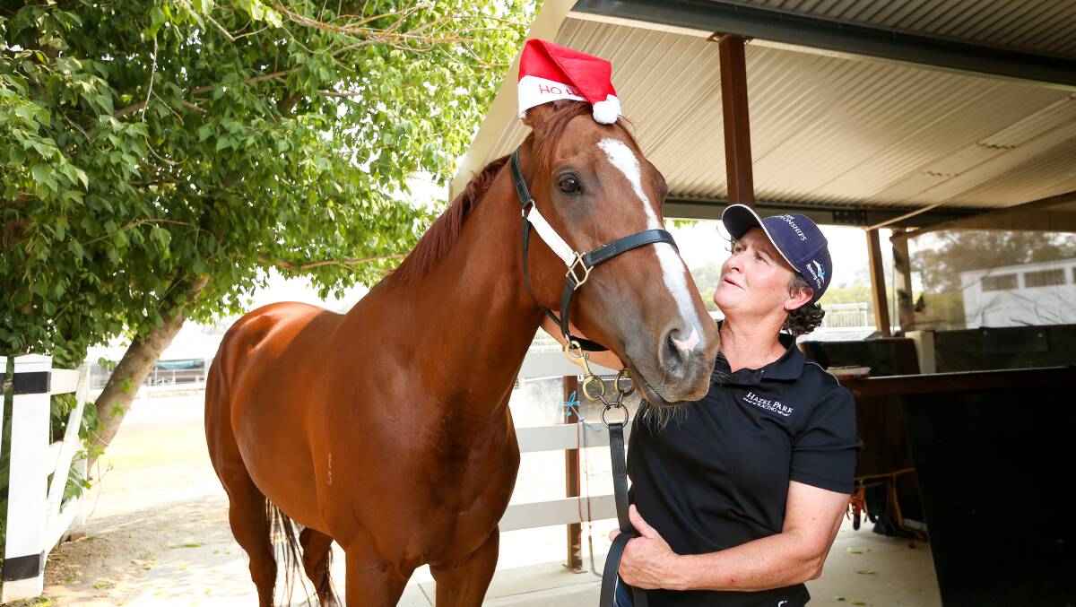 HONOUR: The Donna Scott-trained Hazel's Diary is one of three equal winners for the Albury Horse of the Year honours.