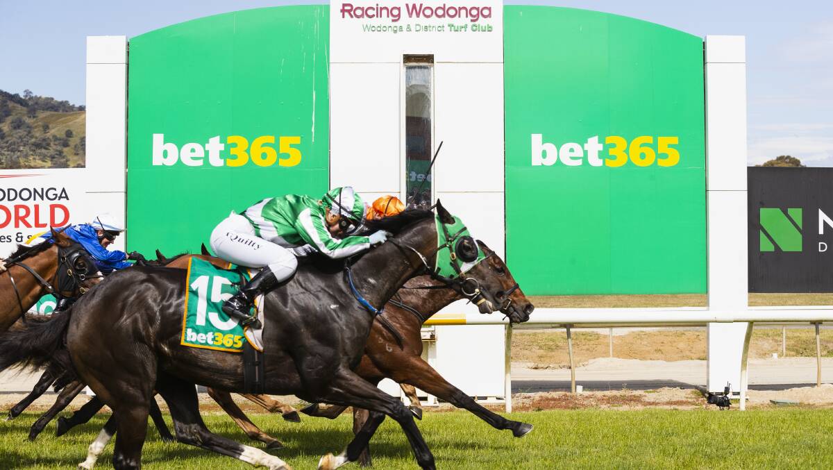 Night Passage holds off the finishing burst of This Skilled Cat
in the Wodonga Gold Cup. Picture by Ash Smith