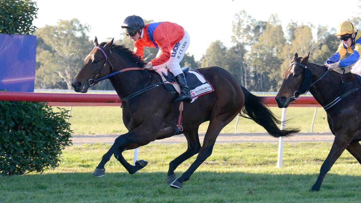 ALBURY BOUND: Bulala is set to target next month's City Handicap over the Albury carnival. Picture: Kylie Shaw, Trackpix Racing Photography 