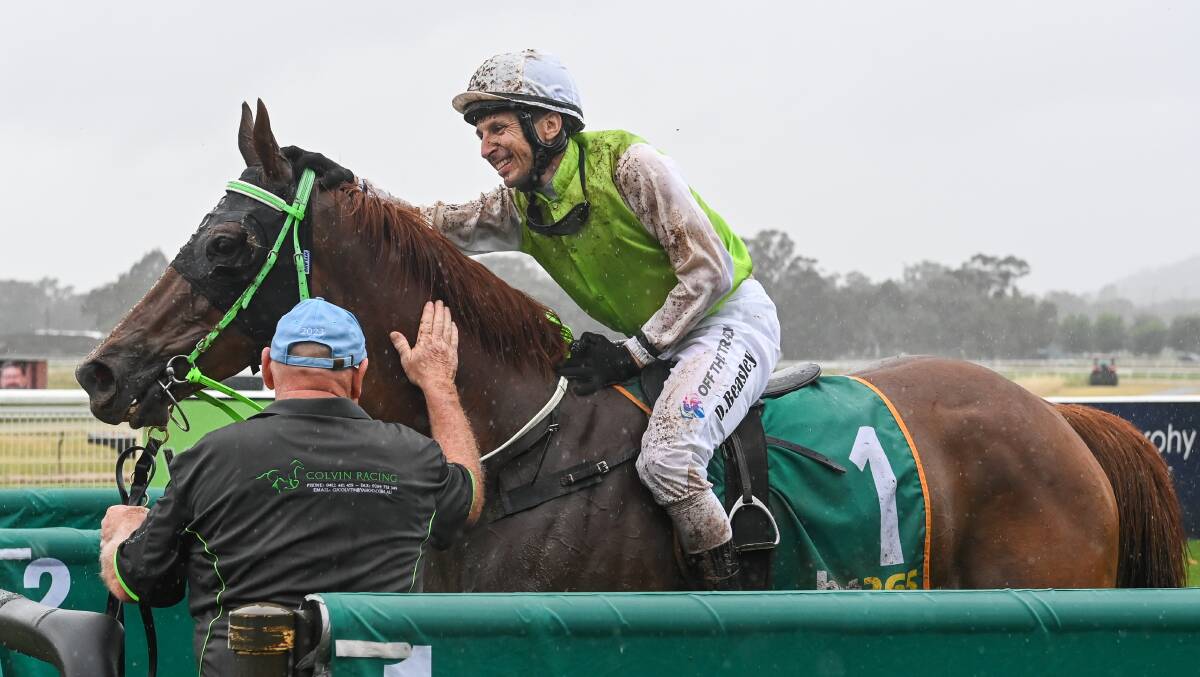 Danny Beasley recently won the Wodonga Gold Cup on the Gary Colvin-trained Another One. Picture by Mark Jesser