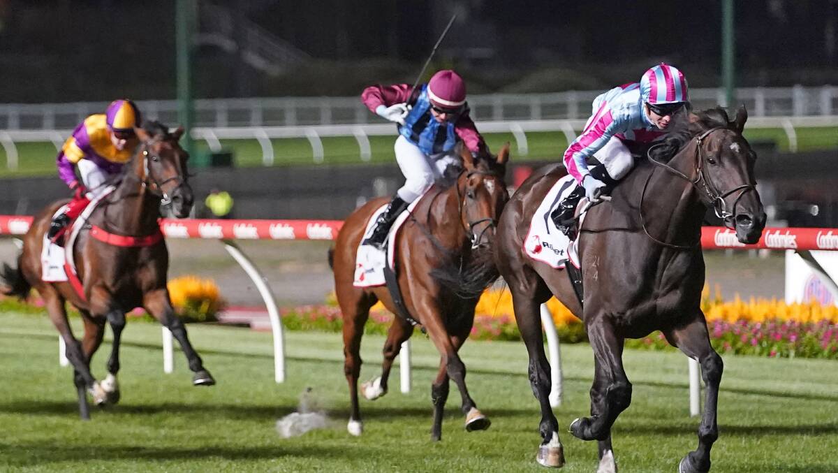 CUP HOPE: The Mitch Beer-trained Perfect Illusion finished runner-up at Moonee Valley at his most recent start. Picture: RACING PHOTOS