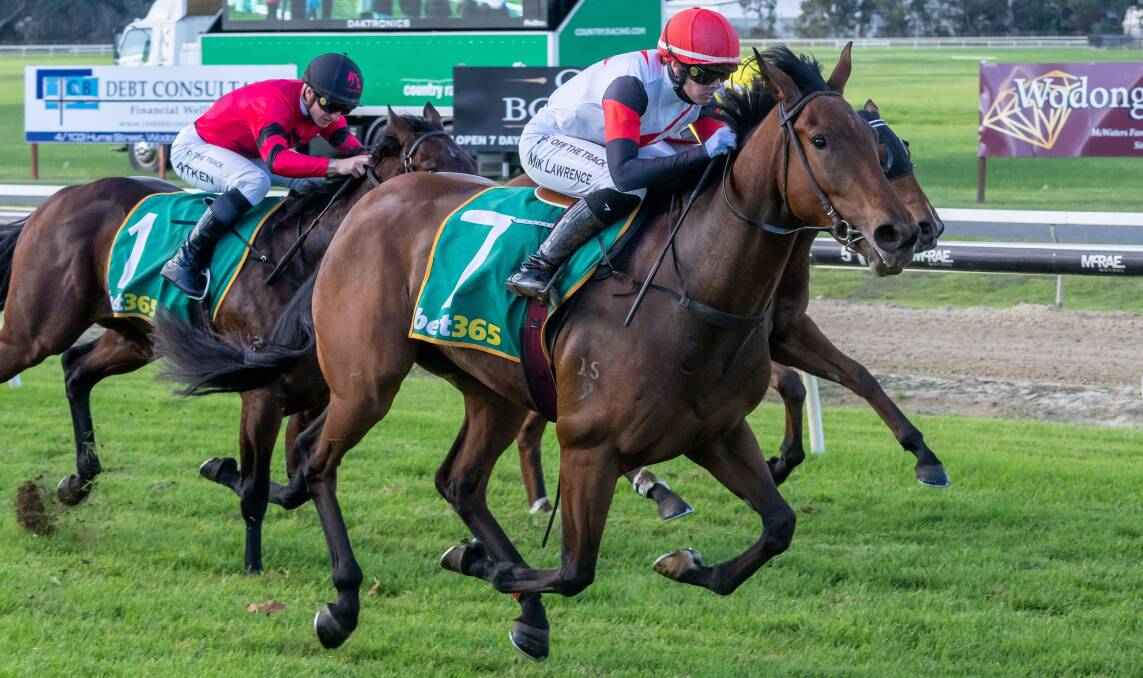 IMPRESSIVE: Arachadi storms to victory in the 2YO Jack Maher Classic out wide on track with apprentice jockey Mikaela Lawrence aboard. Picture: RACING PHOTOS