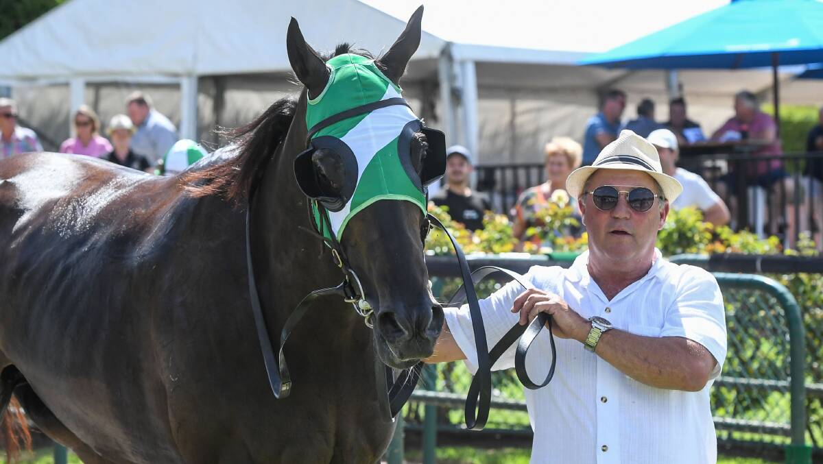 IN-FORM: Trainer David O'Prey has This Skilled Cat racing in career best form this preparation. Picture: RACING PHOTOS