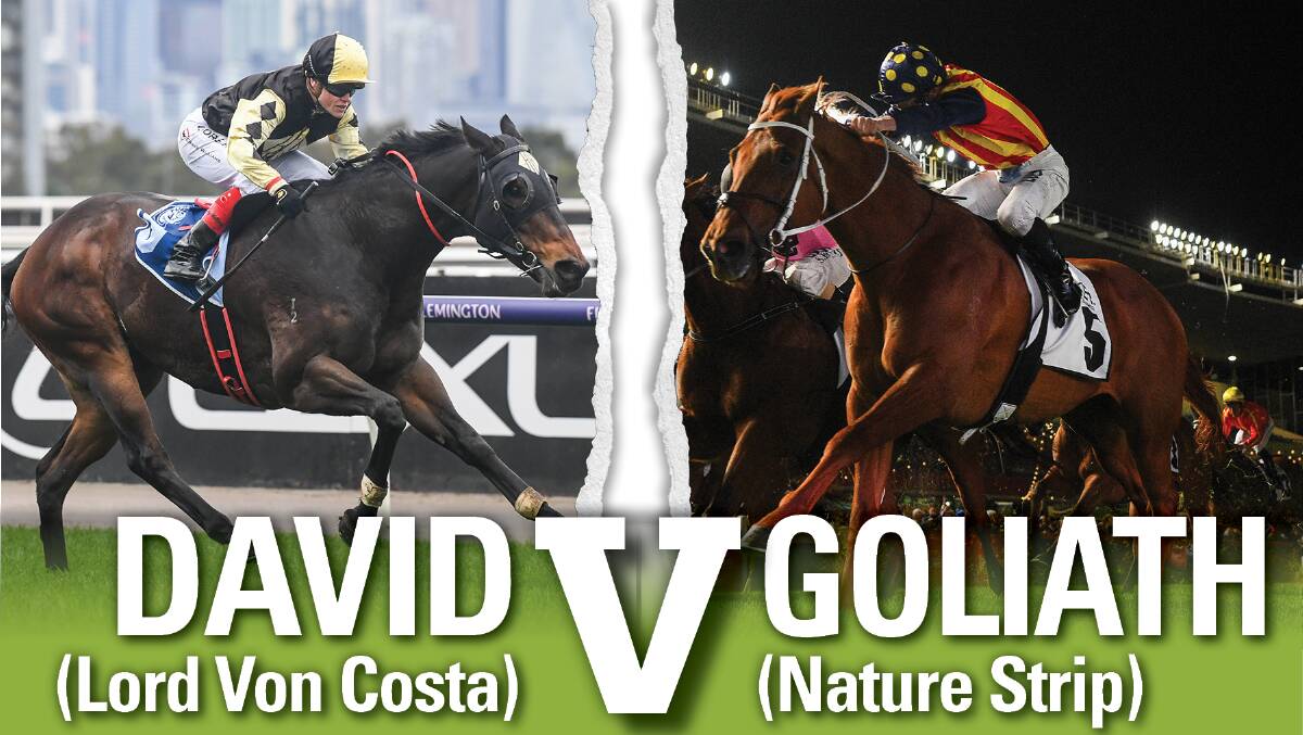 BIG ASK: Lord Von Costa is set to clash with the world's fastest horse in Nature Strip who is favourite for the Everest in a fortnight.