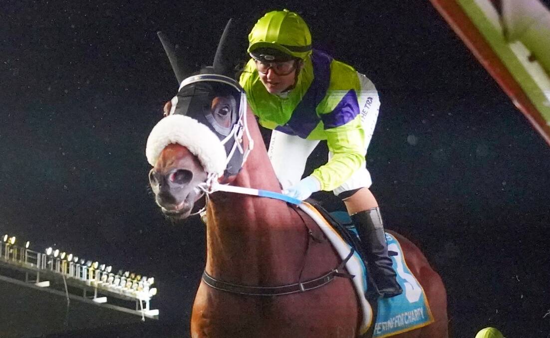 The Peter Moody-trained Akecheta is a last-start Moonee Valley winner. Picture: RACING PHOTOS