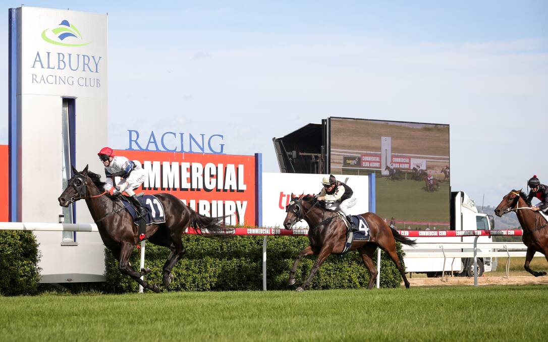 The Ron Stubbs-trained Bianco Vilano winning the Country Championships Qualifier at Albury racecourse in February. Picture by James Wiltshire