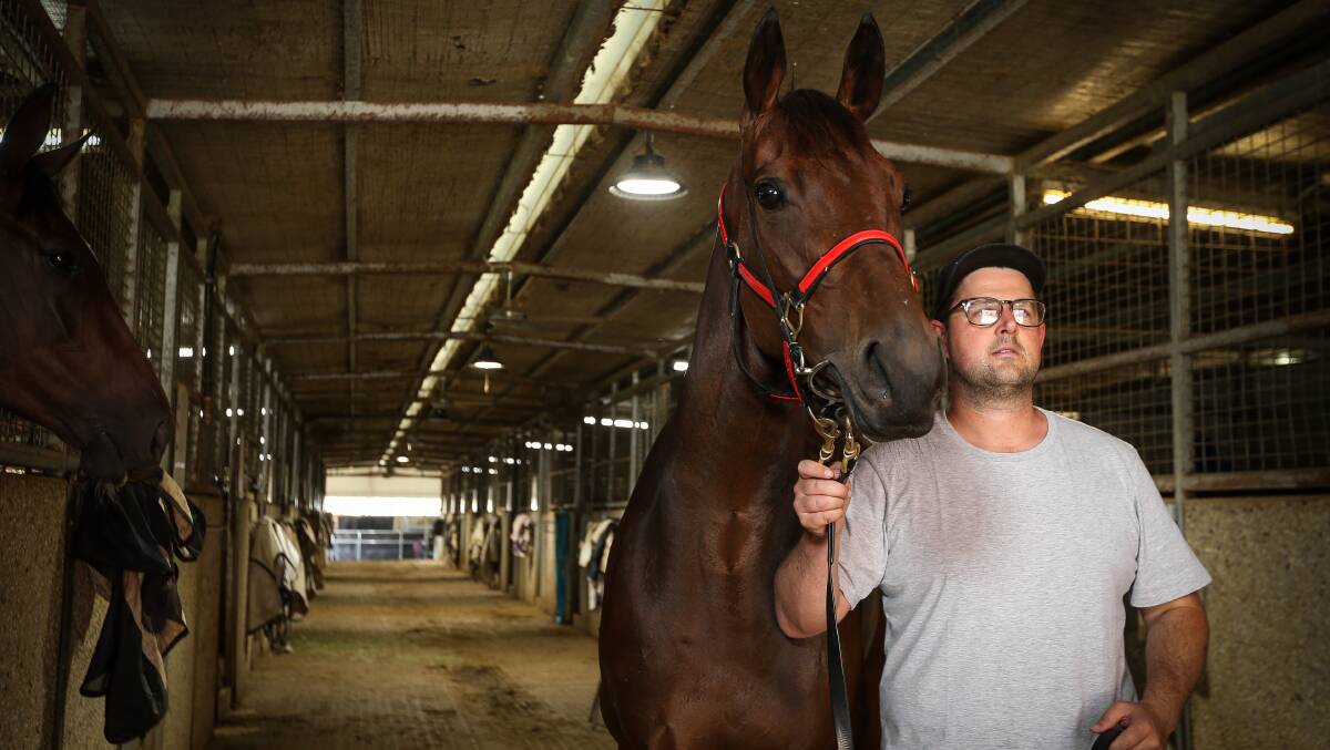 EYES ON THE PRIZE: Trainer Mitch Beer with his highly promising galloper Sky Call. Picture: JAMES WILTSHIRE