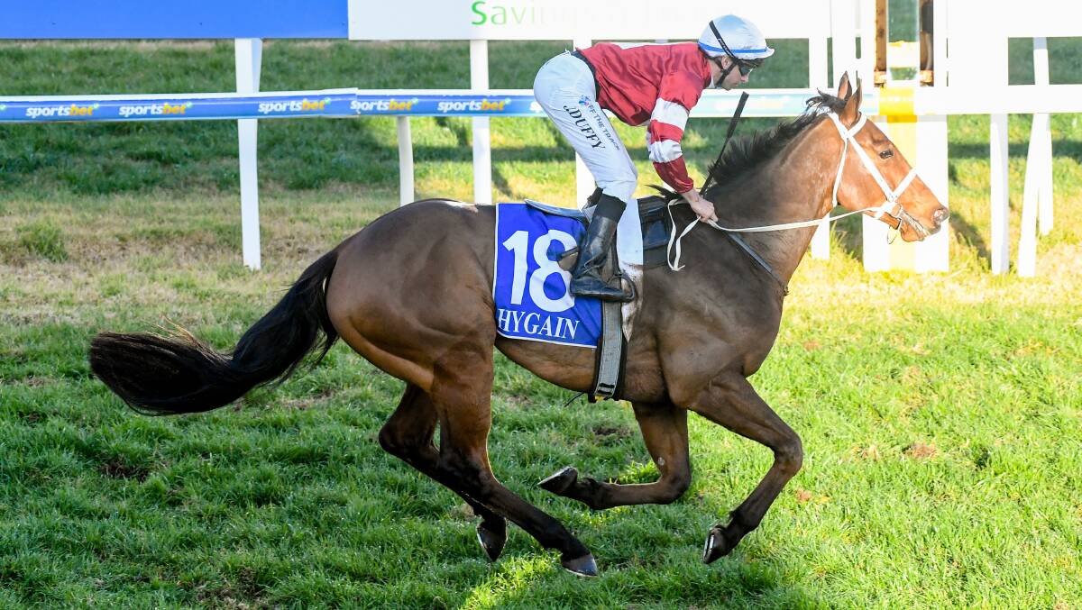 THERE IS NO RACE: The Andrew Dale-trained Stonefield demolished his rivals to score by five-lengths at Wangaratta. Picture: RACING PHOTOS