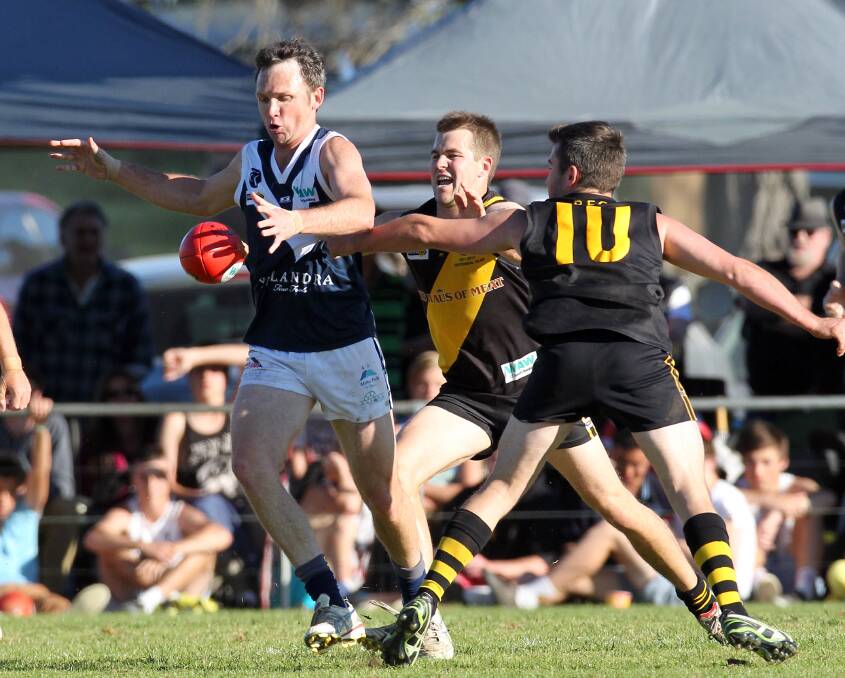 Culph in action for Mitta United.