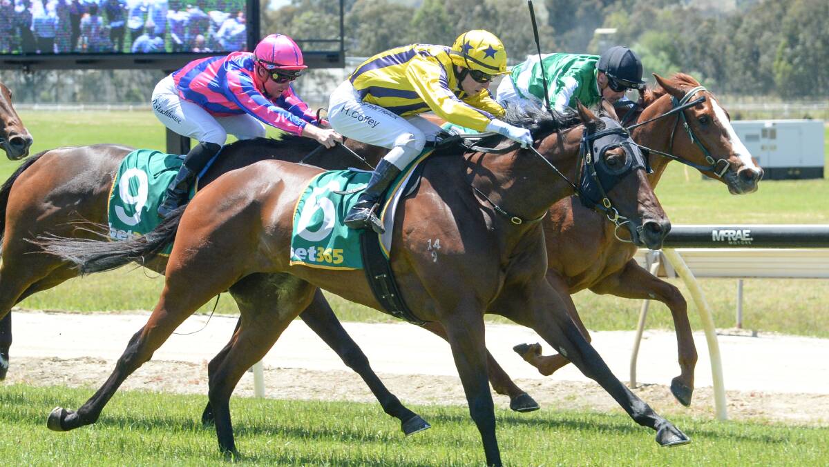The David O'Prey-trained Jordy Girl (inside) has finished runner-up on five previous occasions but can win her maiden at Wodonga on Friday.