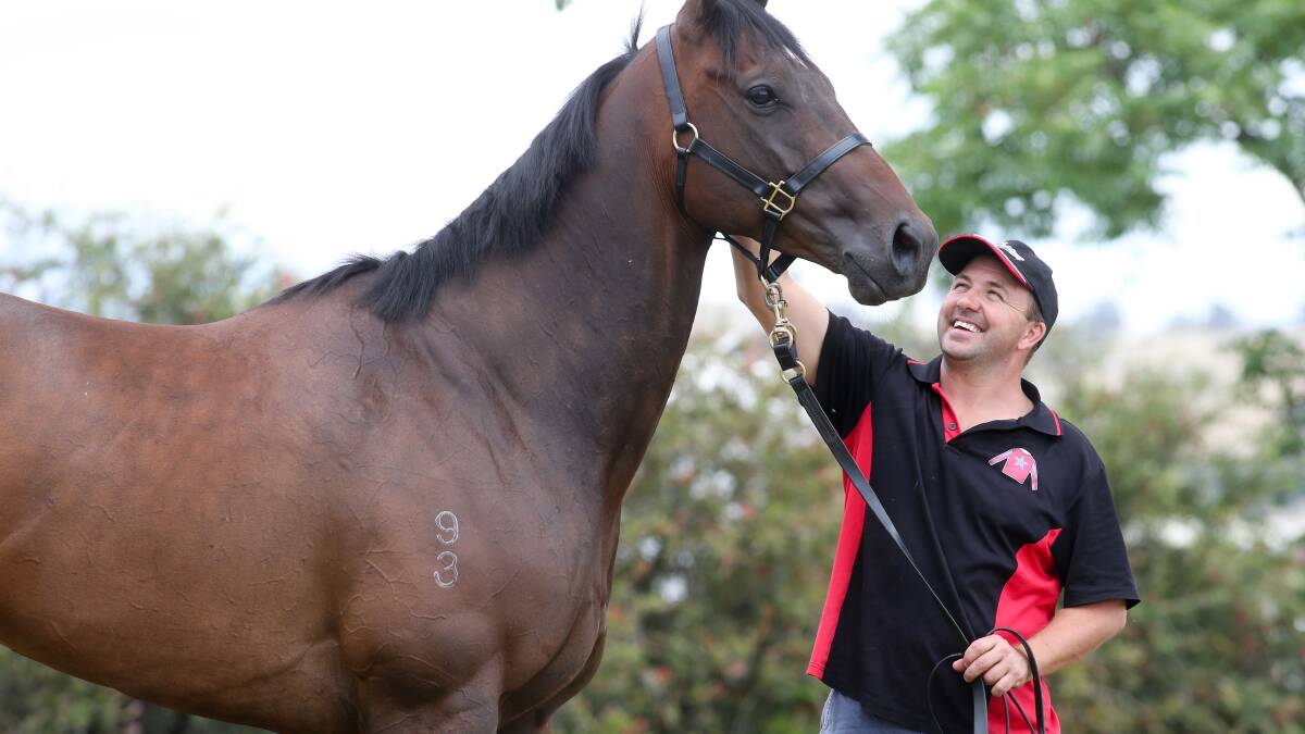BIG DAY: Wodonga trainer Craig Widdison will have nine runners on his home track on Saturday.