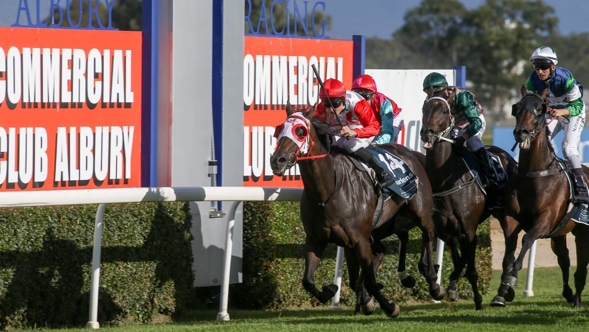 TOO GOOD: Brodie Loy and Ilovesaki combine to take out the Albury Mile. It was the final leg of a winning treble for Loy on the opening day of last week's Albury carnival.