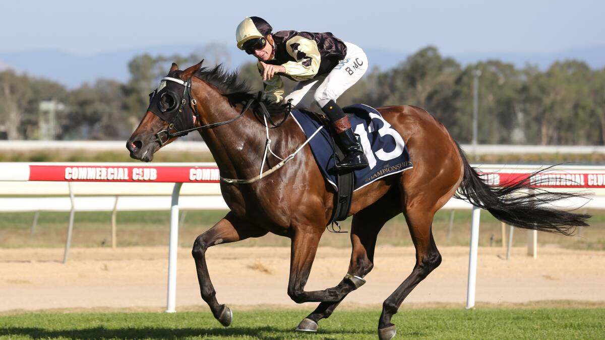 LOCKED-IN: Blaike McDougall will once again partner Bennelong Dancer in the Country Championship qualifier at Albury next Saturday.