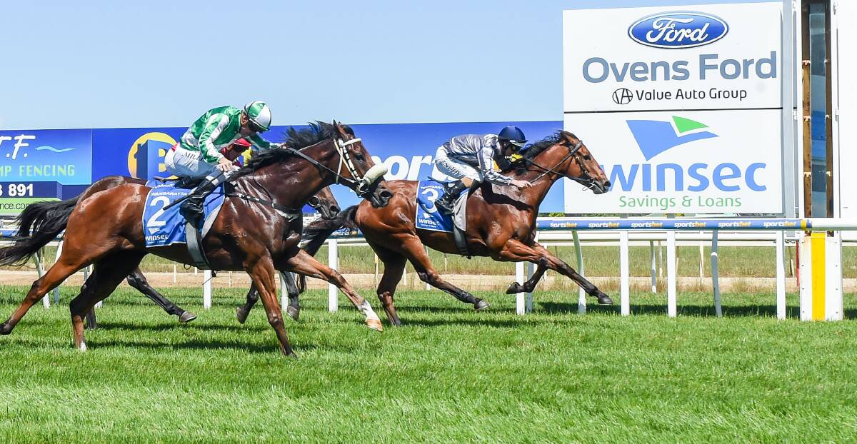BRAVE PERFORMANCE: The David O'Prey-trained Dunvegan finished second when resuming at Wangaratta last month. Picture: RACING PHOTOS