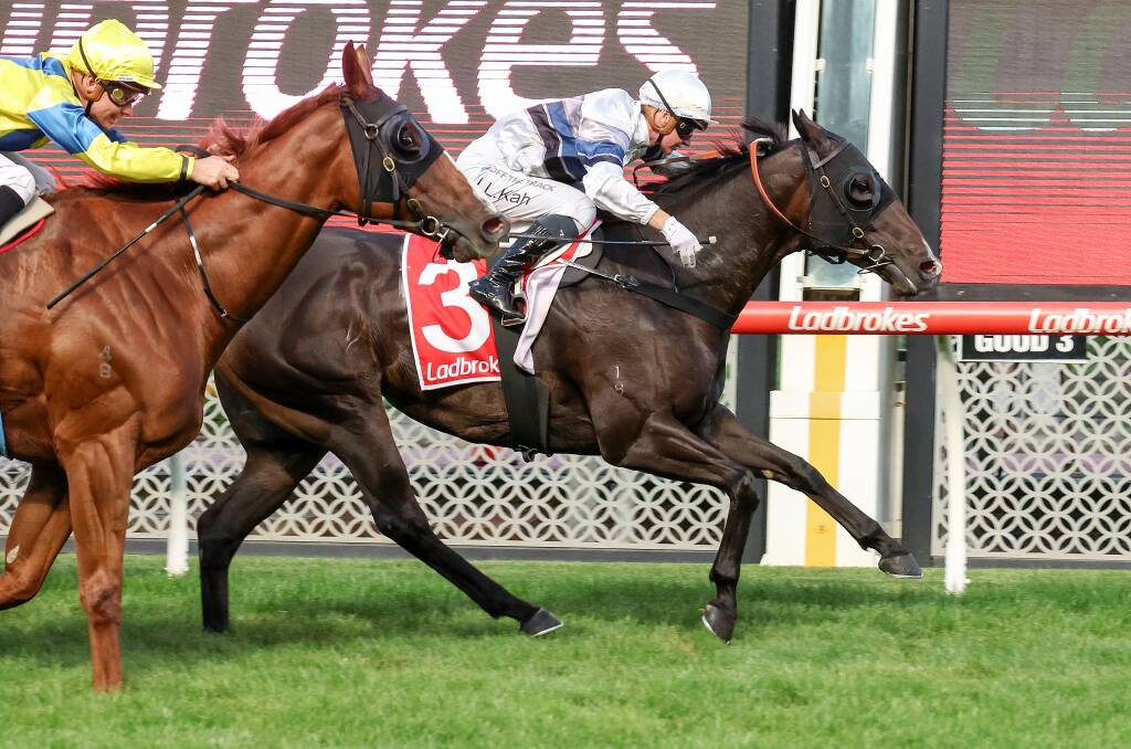 The Ron Stubbs-trained Sparring is a previous winner at Moonee Valley. Picture by Racing Photos
