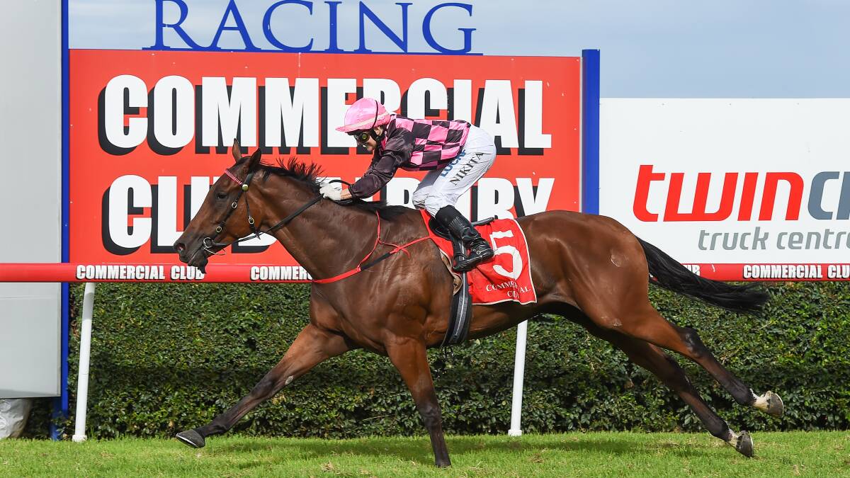 DEFENDING CHAMP: The Craig Widdison-trained Willi Willi has been allocated 56kg for Friday's Albury Gold Cup where he will be out to defend his crown.