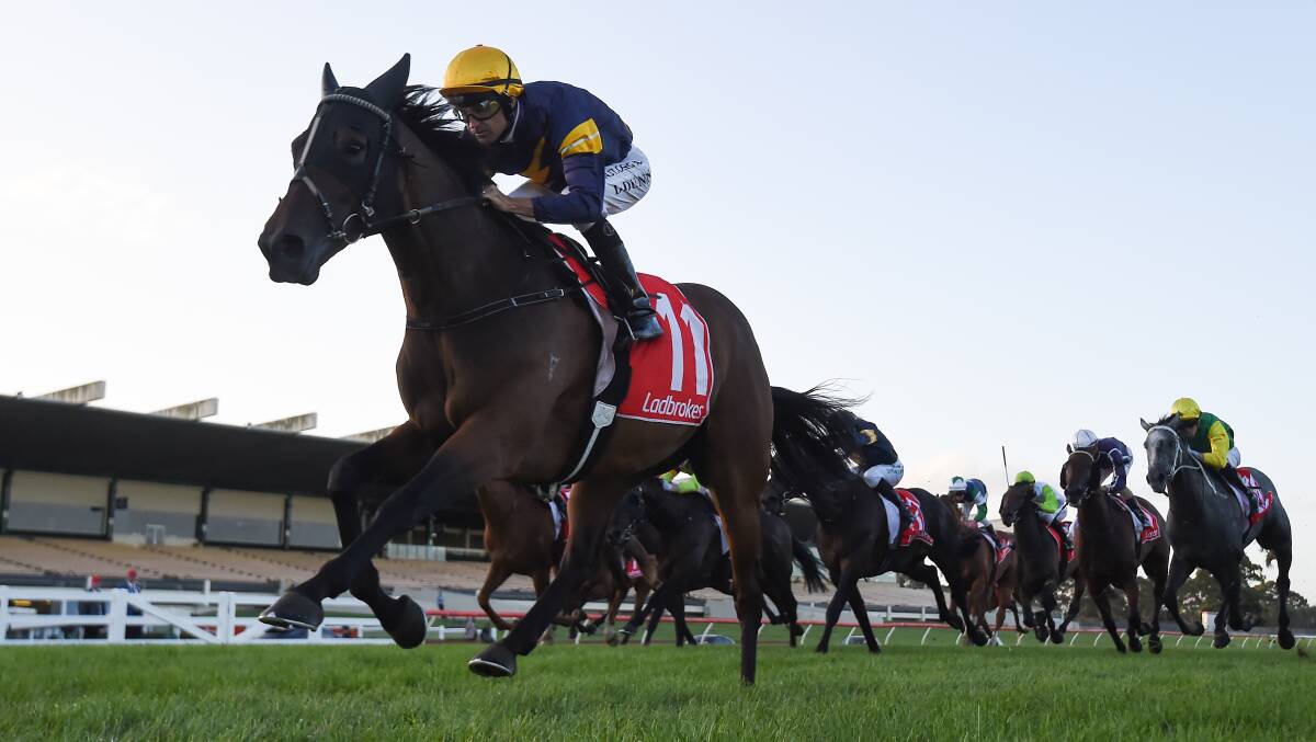 CUP HOPE: The Michael Moroney-trained Rainbow Thief winning as Sandown in February last year. David O'Prey rates the gelding a huge chance to break the drought in the Wodonga Cup. Picture: RACING PHOTOS