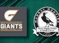 Mystery surrounds premature end to Murray Magpies and RWW Giants clash
