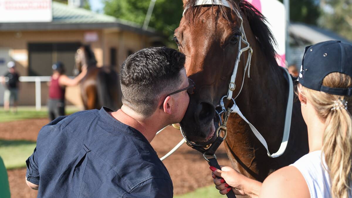 SEALED WITH A KISS: Mitch Beer gives Sky Call a congratulatory kiss after her victory in the Country Championship qualifier at Albury last month. The classy mare is set to contest the City Handicap on Thursday.