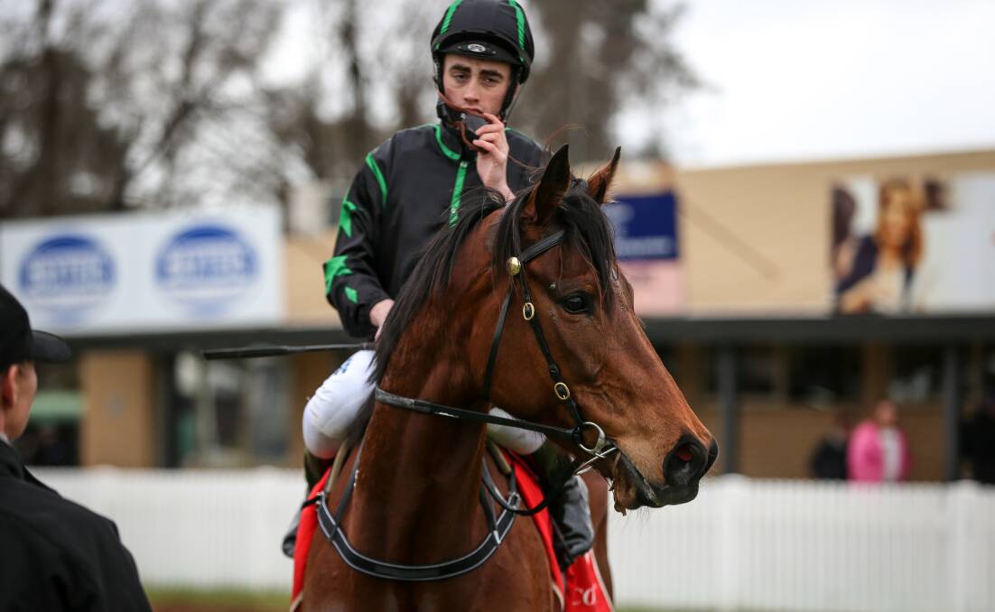 WINNING DOUBLE: Jockey Lachie King returns to scale aboard the Donna Scott-trained Carano. Picture: JAMES WILTSHIRE
