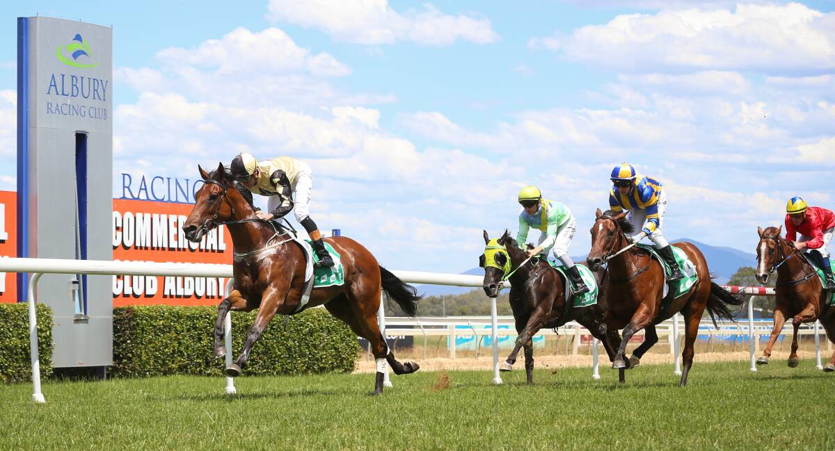 THAT-A-GAL: The Donna Scott-trained Steparound Gal breaks through for the first win of her career at Albury on Saturday. Picture: JAMES WILTSHIRE