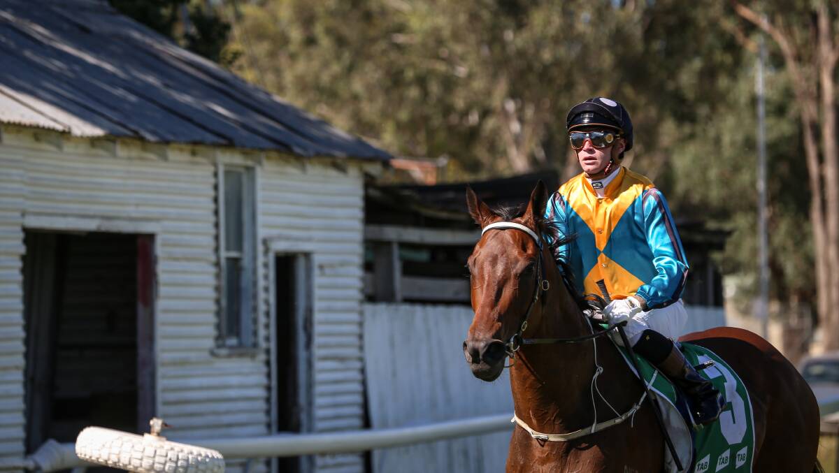 IMPRESSIVE: Jockey Blaike McDougall returns to scale aboard the Donna Scott-trained Oamanikka after winning at Albury on Saturday. Picture: JAMES WILTSHIRE
