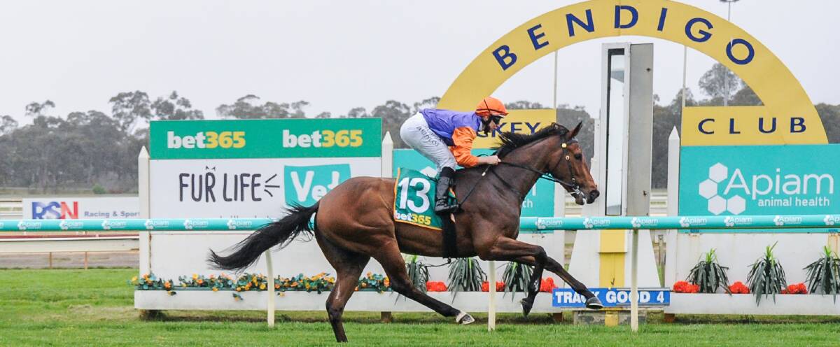 ULTIMATE WIN: The John and Chris Ledger trained Ultimate Edition has emerged as a Victorian Derby contender. Picture: RACING PHOTOS