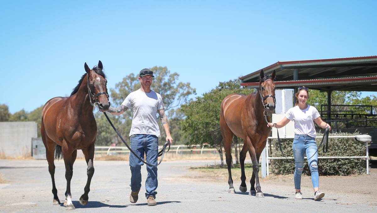 CUP HOPES: Ryan Hamilton with Wyangle and Hannah Williams with Ruby Skye in the lead-up to the Wodonga Gold Cup. Trainer Craig Widdison will also have Willi Willi in the feature. Picture: JAMES WILTSHIRE