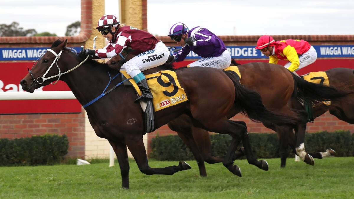 BIG WIN: O' So Hazy winning the Country Championship qualifier at Wagga last year with Brooke Sweeney aboard.