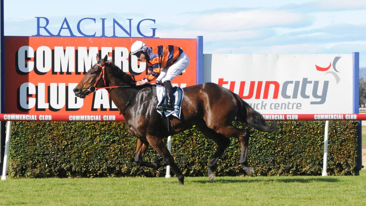 WINNING SPREE: Macgyver's Me Mate has won his past two starts at Albury and looks the testing material once again today. Picutre: KYLIE SHAW, TRACKPIX