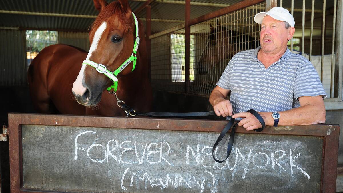 Wagga trainer Gary Colvin is set to target Friday's Wodonga Gold Cup. Picture by Daily Advertiser