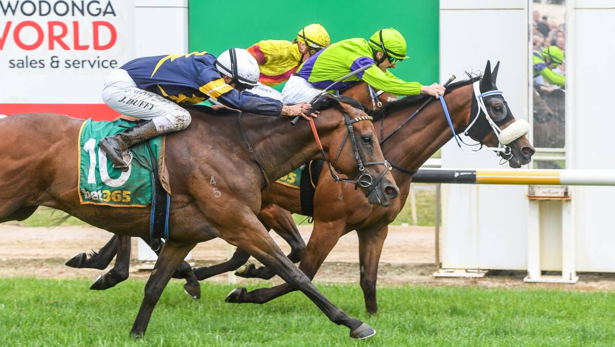 TIGHT: The Peter Moody-trained Akecheta holds on for a thrilling win in the Wodonga Gold Cup yesterday. Picture: RACING PHOTOS
